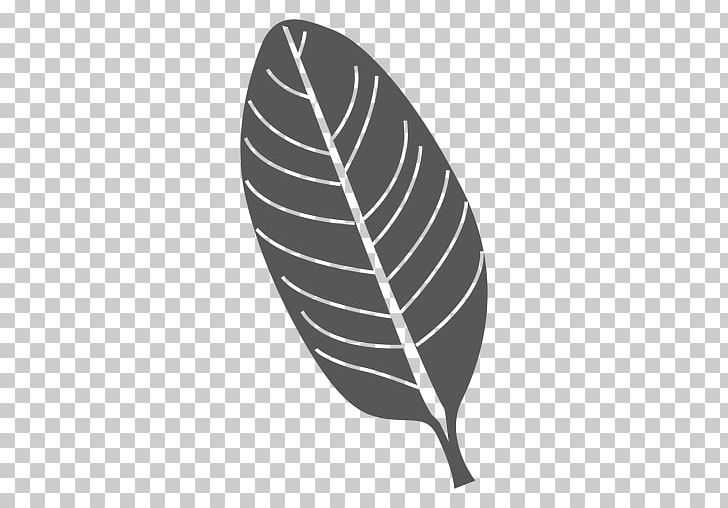 Leaf PNG, Clipart, Black And White, Download, Drawing, Encapsulated Postscript, Leaf Free PNG Download
