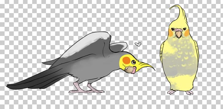 Macaw Parrot Beak Galliformes PNG, Clipart, Animal, Animal Figure, Animals, Aye, Beak Free PNG Download