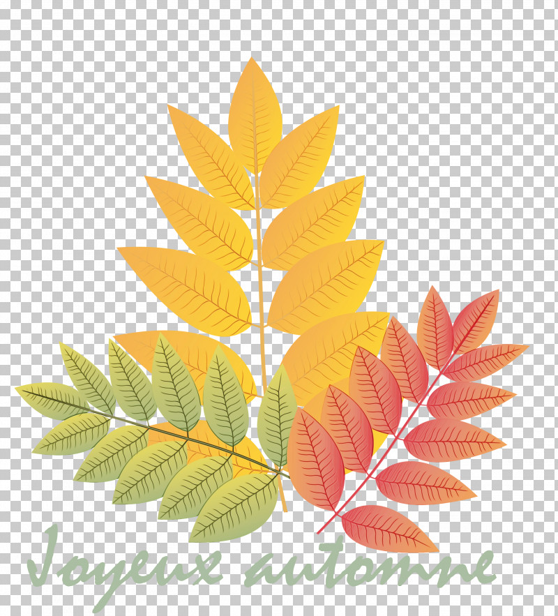 Maple Leaf PNG, Clipart, Branch, Crown, Deciduous, Flower, Hello Autumn Free PNG Download
