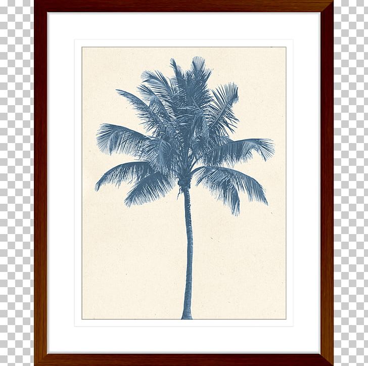 Coconut Tree Hyophorbe Lagenicaulis Stock Photography PNG, Clipart, Arecaceae, Arecales, Coconut, Date Palm, Hyophorbe Free PNG Download