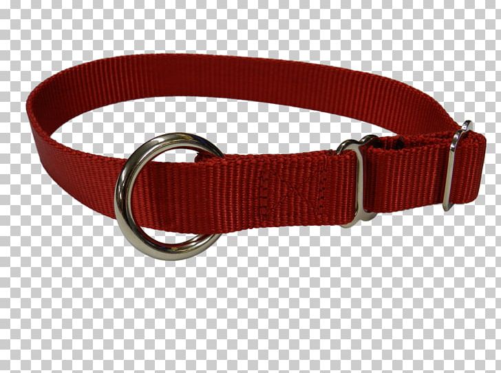Dog Collar Dog Sled Leash PNG, Clipart, Animals, Belt, Belt Buckle, Buckle, Collar Free PNG Download
