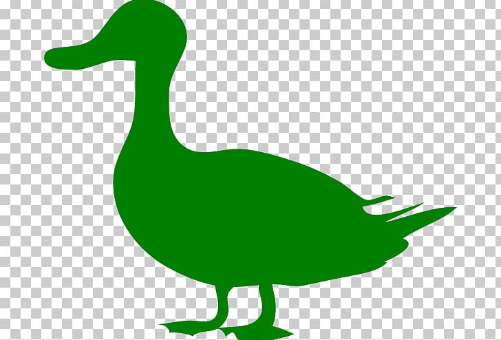 Donald Duck Mallard Bird Goose PNG, Clipart, American Pekin, Art, Artwork, Beak, Bird Free PNG Download