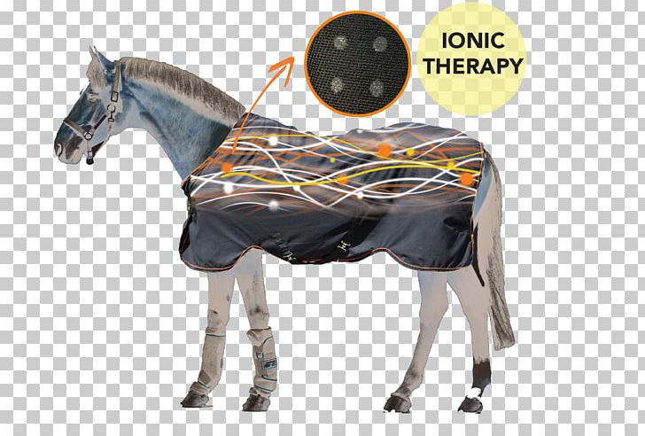 Rambo Ionic Therapy Horse Boot Rambo Fly Buster With Vamoose Fly Rug Rambo Ionic Stable Therapy Rug Rambo Ionic 200G Stable Rug PNG, Clipart, Animals, Bridle, Carpet, Halter, Horse Free PNG Download
