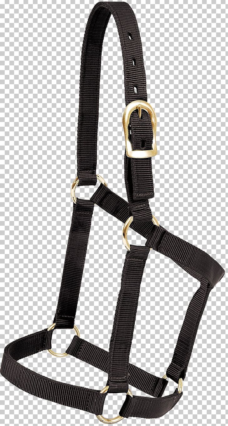 Horse Welsh Pony And Cob Halter Nylon Lead PNG, Clipart, Animals, Bag, Bronc Riding, Buckle, Climbing Harness Free PNG Download
