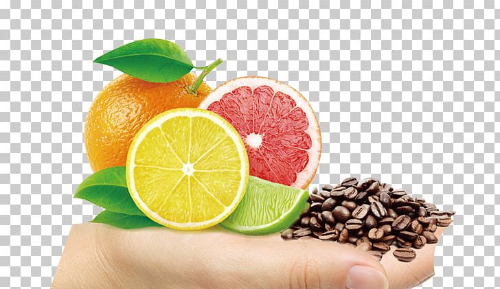 Juice Bitter Orange Flavor Lemon PNG, Clipart, Bergamot Orange, Bitter Orange, Citric Acid, Citrus, Diet Food Free PNG Download