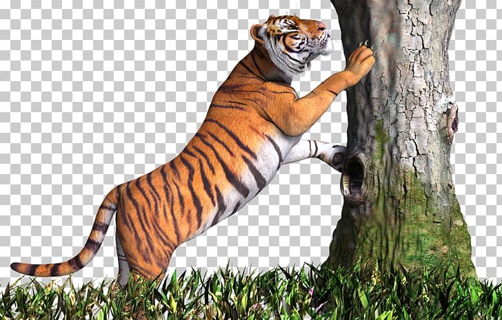Portable Network Graphics Lion Desktop PNG, Clipart, 3 D, Animal, Animals, Bengal Tiger, Big Cats Free PNG Download