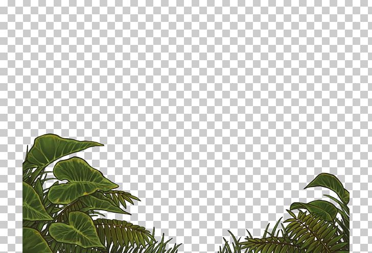 Vegetation Lawn Leaf Sky Plc Branching PNG, Clipart, Branch, Branching, Grass, Lawn, Leaf Free PNG Download