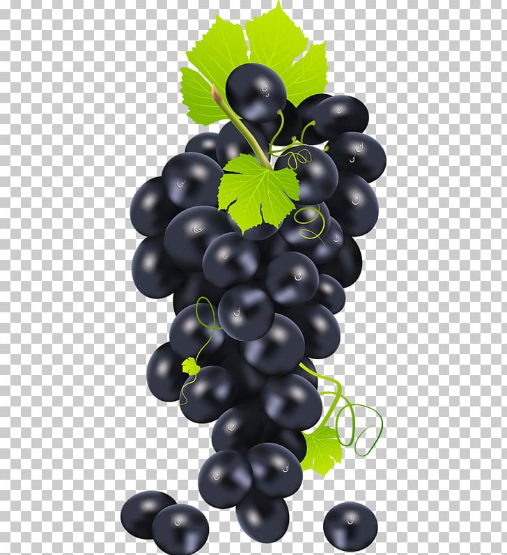 Common Grape Vine PNG, Clipart, Eat, Flowering Plant, Food, Fruit, Fruit Nut Free PNG Download