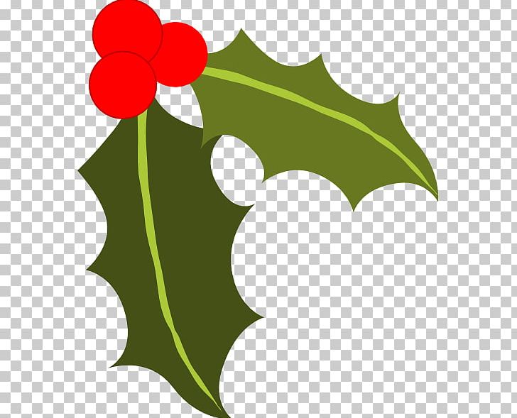 Common Holly Berry PNG, Clipart, Aquifoliaceae, Artwork, Berry, Blog, Branch Free PNG Download