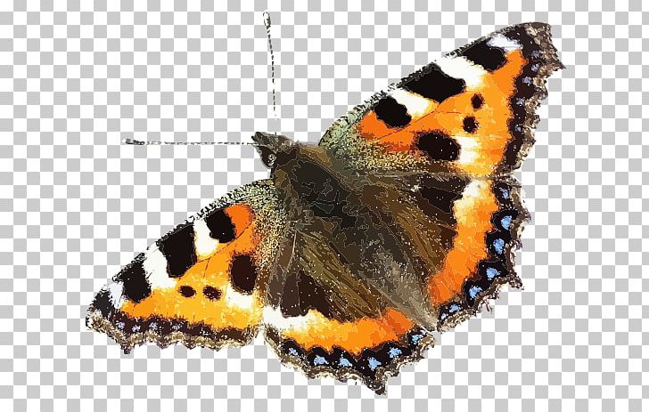Insect Brush-footed Butterflies Small Tortoiseshell Swallowtail Butterfly PNG, Clipart, Brushfooted Butterflies, Brush Footed Butterfly, Butterflies, Butterfly, Download Free PNG Download