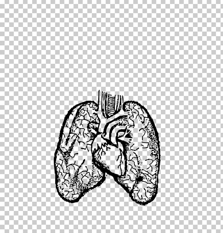 Lung Drawing Human Body PNG, Clipart, Angle, Arm, Black And White, Bone, Brain Free PNG Download