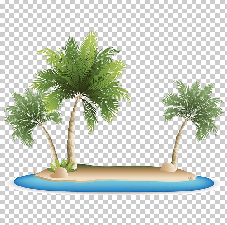 Palm Islands Tropical Islands Resort PNG, Clipart, Arecaceae, Beach, Christmas Tree, Coconut Trees, Encapsulated Postscript Free PNG Download