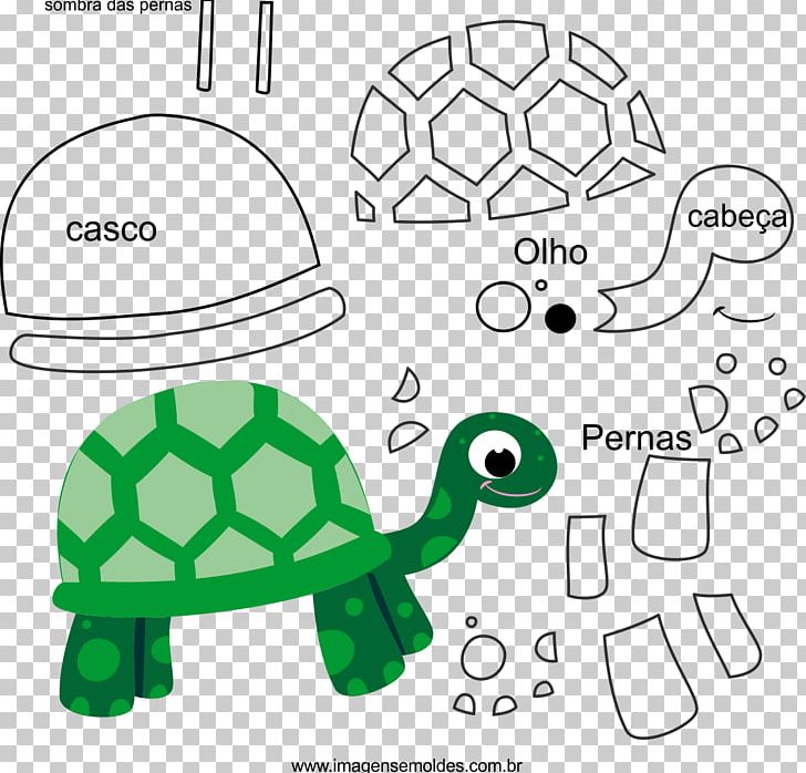 Tortoise Sea Turtle Molde Drawing PNG, Clipart, Animals, Area, Diagram, Drawing, Eye Free PNG Download