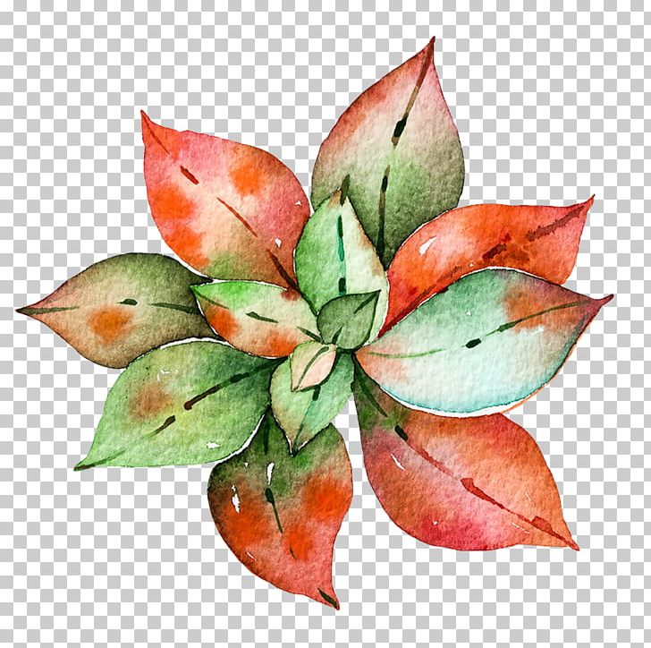 Watercolor Painting Succulent Plant Agave Parviflora PNG, Clipart, Agave, Agavoideae, Art, Century Plant, Download Free PNG Download