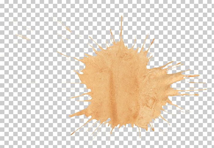 Brown Watercolor Painting PNG, Clipart, Art, Beige, Brown, Brush, Color Free PNG Download