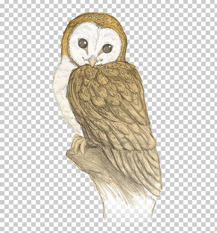 Owl How To Draw Drawing Sketch Pencil PNG, Clipart, Animals, Art, Barn, Barn Owl, Beak Free PNG Download
