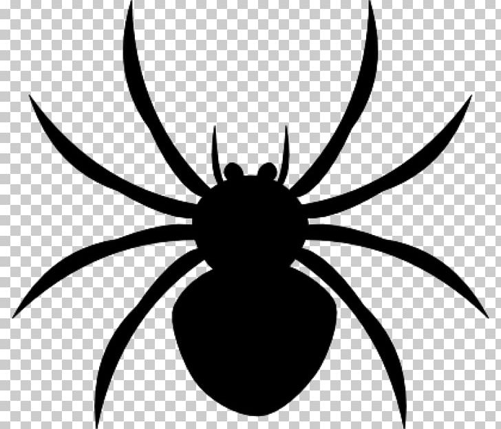 Spider Free Content PNG, Clipart, Arachnid, Arthropod, Black And White, Download, Free Content Free PNG Download