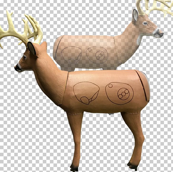 Target Archery Elk Reindeer Morrell Targets Manufacturing PNG, Clipart, Animal, Antler, Archery, Bow And Arrow Shooting, Com Free PNG Download