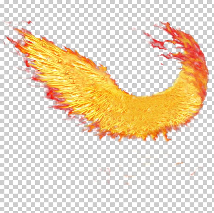 Wings Of Fire Desktop PNG, Clipart, Clip Art, Closeup, Color, Computer Wallpaper, Desktop Wallpaper Free PNG Download