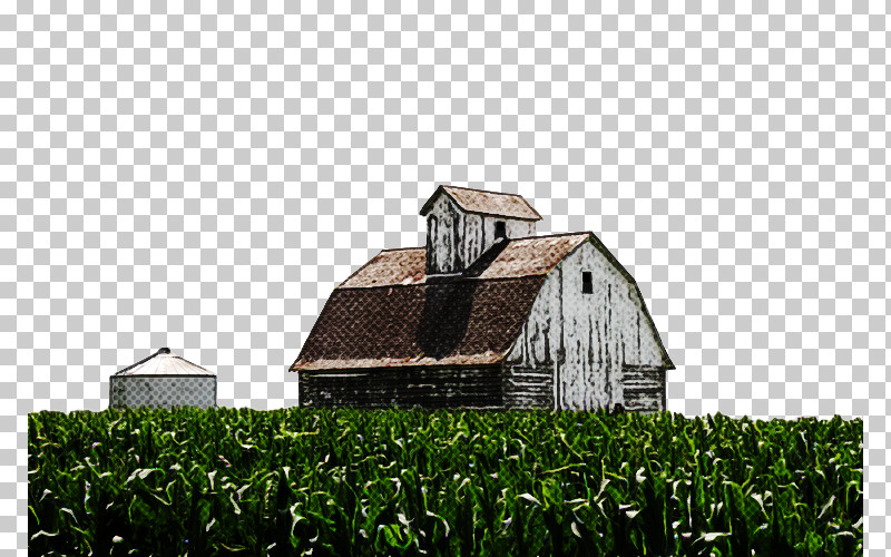 Farm Grass Rural Area Barn Grass Family PNG, Clipart, Barn, Building, Farm, Field, Grass Free PNG Download
