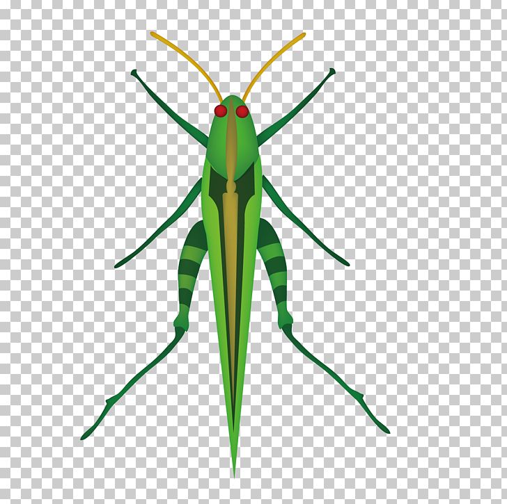 Grasshopper Mosquito Insect Locust PNG, Clipart, Arthropod, Artificial Grass, Caelifera, Cartoon Grass, Cicadas Free PNG Download