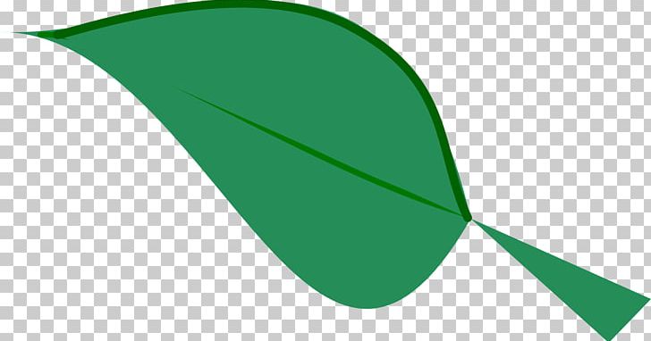 Leaf PNG, Clipart, Angle, Desktop Wallpaper, Download, Drawing, Grass Free PNG Download