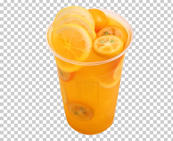 Orange Juice Tea Fuzzy Navel Lemonade Orange Drink PNG, Clipart, Apple Fruit, Fruit, Fruit Nut, Green Tea, Health Shake Free PNG Download
