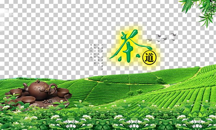 Tea Garden PNG, Clipart, Advertisement Poster, Agriculture, Computer Wallpaper, Download, Farm Free PNG Download