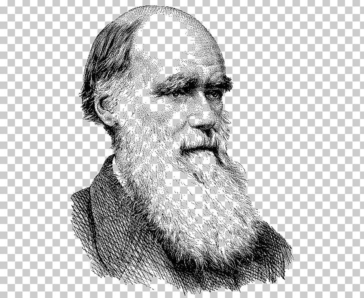 Charles Darwin On The Origin Of Species Evolution Naturalist T-shirt PNG, Clipart, Beard, Black And White, Chin, Common Descent, Drawing Free PNG Download