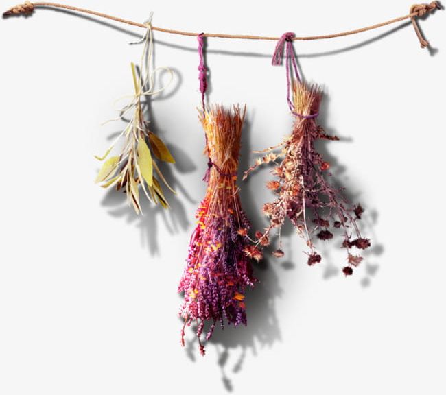 Dried Flowers PNG, Clipart, Art, Bouquet, Decoration, Dried, Dried Bouquet Free PNG Download