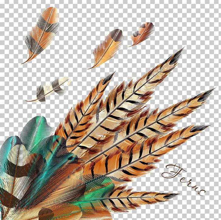 Feather Pillow Cushion Wall Decal Decorative Arts PNG, Clipart, Animals, Background, Background Material, Color, Cushion Free PNG Download