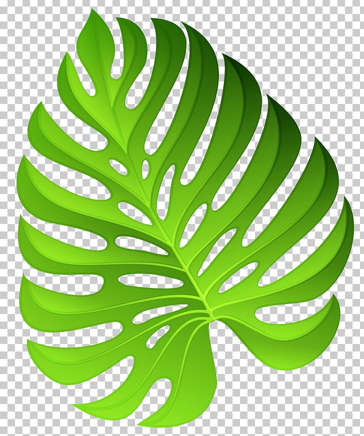 Plant Flower PNG, Clipart, Circle, Clip Art, Clipart, Decoration, Decorative Elements Free PNG Download