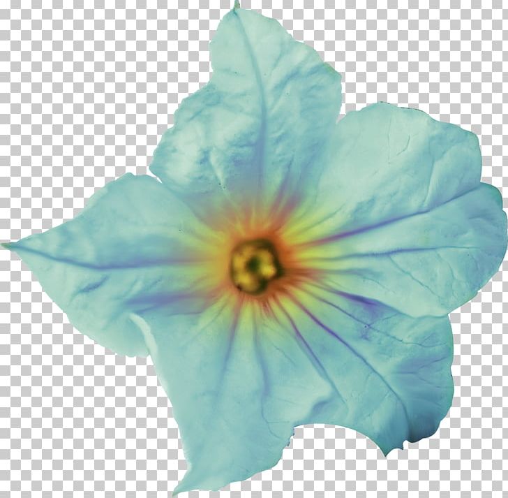 Flower Petal PNG, Clipart, 2017, Advertising, Blue, Cicek, Cobalt Blue Free PNG Download
