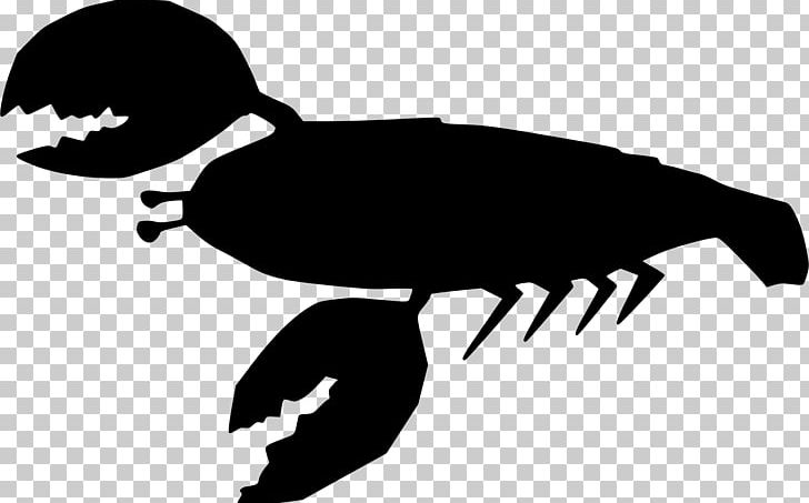 Lobster PNG, Clipart, Animals, Artwork, Beak, Bird, Black Free PNG Download