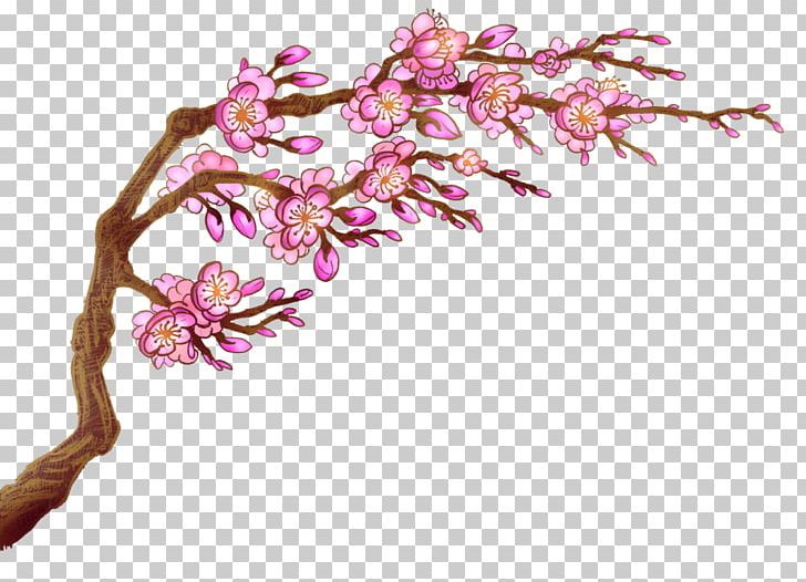 Cherry Blossom Flower PNG, Clipart, Affter Effects, Blossom, Branch, Cherry, Cherry Blossom Free PNG Download
