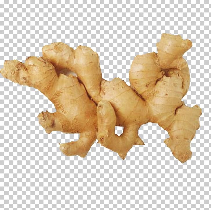 Juice Ginger Tea Organic Food Alpinia Galanga PNG, Clipart, Common Cold, Five, Flavor, Food, Fresh Free PNG Download