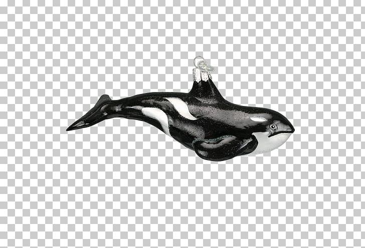 Dolphin Cetacea Killer Whale Glass PNG, Clipart, Animals, Black And White, Cetacea, Christmas, Dolphin Free PNG Download