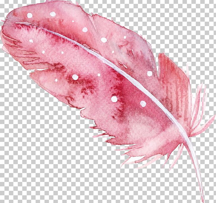 Feather PNG, Clipart, Art, Bird, Branches, Creative Work, Decorative Patterns Free PNG Download