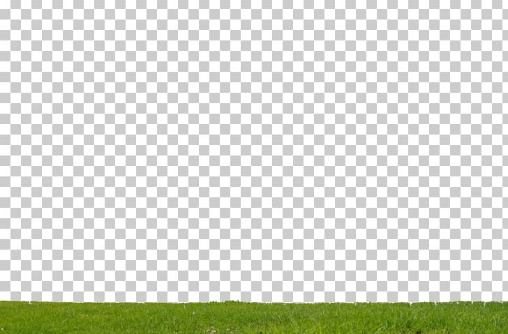 Grassland Meadow Lawn Agriculture Pasture PNG, Clipart, Agriculture, Crop, Family, Field, Grass Free PNG Download
