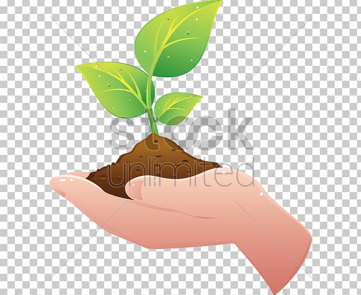 Plant Hand Soil PNG, Clipart, Flower, Flowerpot, Food Drinks, Hand, Leaf Free PNG Download
