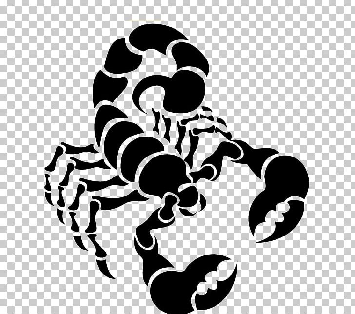 Scorpion Euclidean PNG, Clipart, Black And White, Can Stock Photo