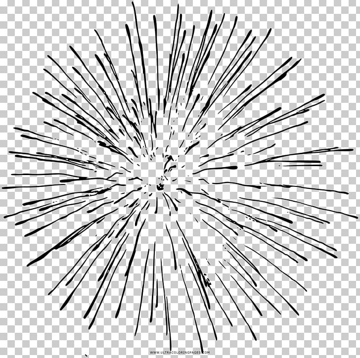 Drawing Sunburst PNG, Clipart, Art, Black And White, Circle, Color, Drawing Free PNG Download