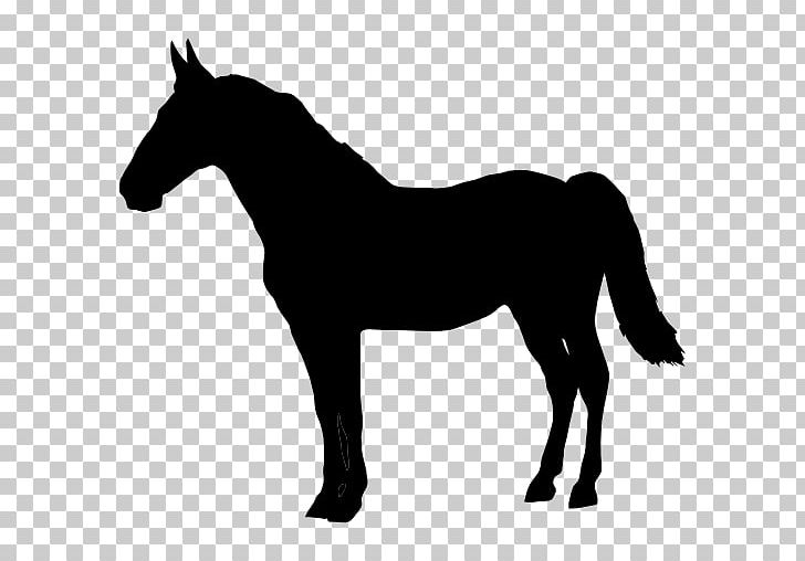 Horse Shape White PNG, Clipart, Animal, Black, Colt, Computer Icons, Drawing Free PNG Download