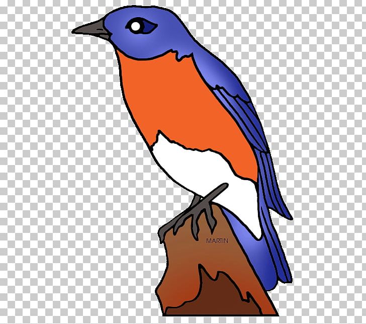 Nevada Idaho Missouri Mountain Bluebird PNG, Clipart, Art, Artwork, Beak, Bird, Bird Clipart Free PNG Download