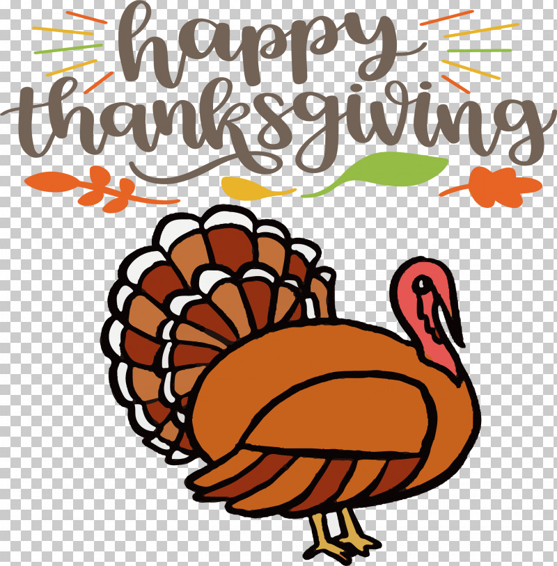 Happy Thanksgiving Turkey PNG, Clipart, Beak, Biology, Birds, Happy Thanksgiving, Meter Free PNG Download
