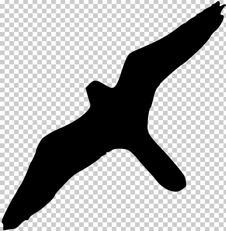 Peregrine Falcon Bird Of Prey Silhouette PNG, Clipart, Aile, Animal, Animals, Beak, Bird Free PNG Download