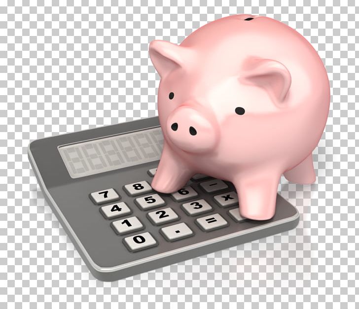 Piggy Bank Tax Money PNG, Clipart, Bank, Finance, Funding, Income Tax, Investment Free PNG Download