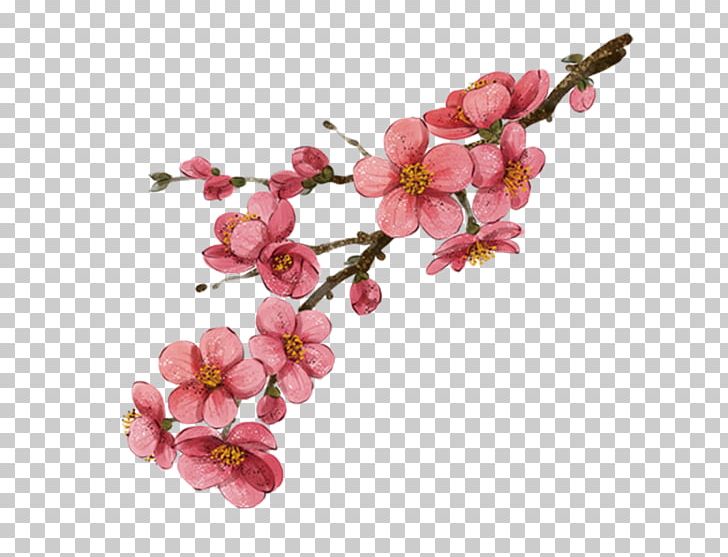 Poster Peach Photography PNG, Clipart, Banner, Blooming, Blooming Peach Blossom, Blossom, Branch Free PNG Download