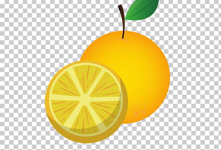 Lemon Mandarin Orange Tangerine Citron PNG, Clipart, Citric Acid, Citron, Citrus, Citrus Junos, Collocation Free PNG Download