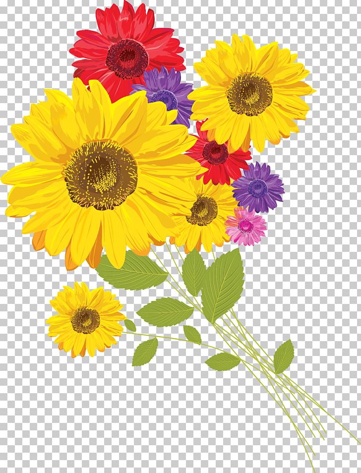 Photography PNG, Clipart, Annual Plant, Art, Chrysanths, Common Daisy, Daisy Family Free PNG Download
